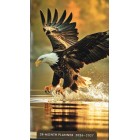 Diary 28 Month Planner 2026-2027 Eagle Design